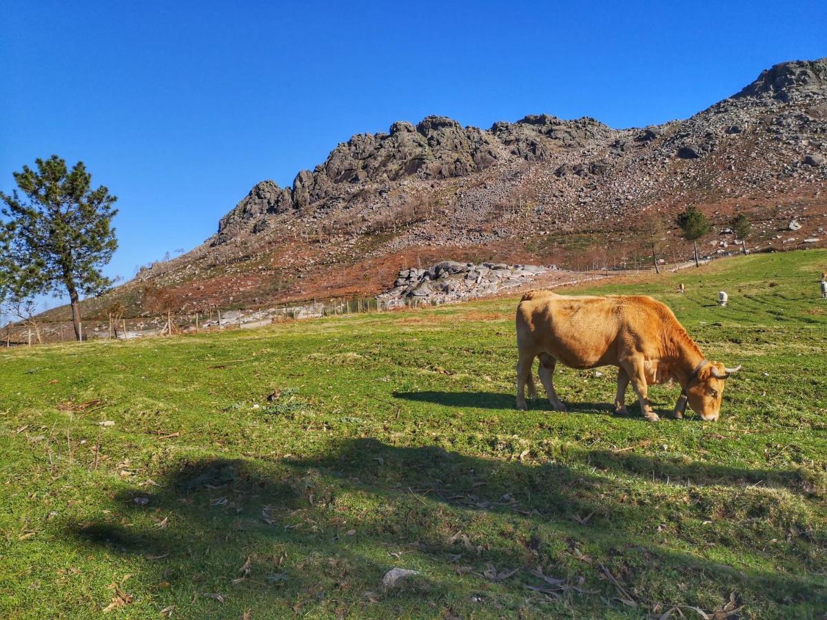 Alojamiento en el corazón de la Sierra del Galiñeiro Gondomar Exterior foto